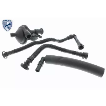 Kit de réparation, ventilation du carter-moteur VAICO V20-2508