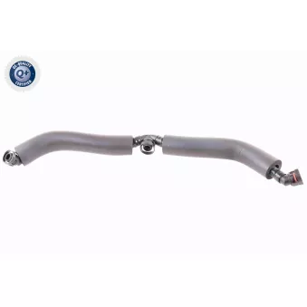 Tuyau, ventilation de carter-moteur VAICO V20-2598