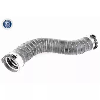 Gaine de suralimentation VAICO V20-2966