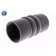 Gaine de suralimentation VAICO V20-2993 - Visuel 1