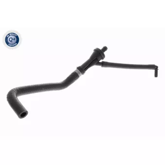 Tuyau, ventilation de carter-moteur VAICO V20-3116