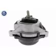 Support moteur avant gauche VAICO V20-3239 - Visuel 1