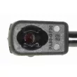 Vérin, capot-moteur VAICO V20-3269 - Visuel 2