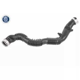 Gaine de suralimentation VAICO V20-4022