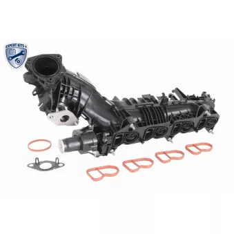 Module de tube d'admission VAICO V20-4029