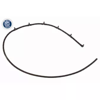 Tuyau, carburant de fuite VAICO V20-4060