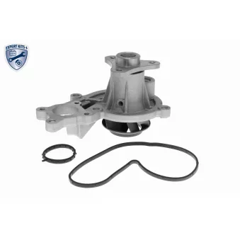 Pompe à eau, refroidissement du moteur VAICO V20-4292