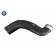 Gaine de suralimentation VAICO V20-4355 - Visuel 1