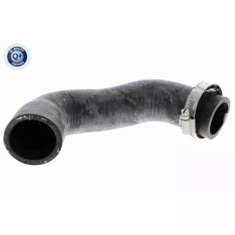 Gaine de suralimentation VAICO V21-0028
