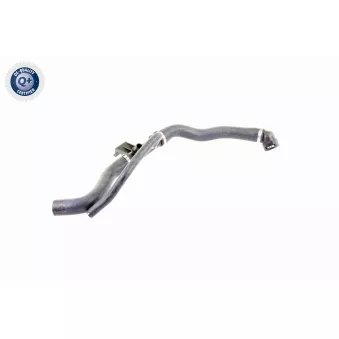 Durite de radiateur VAICO V22-0369