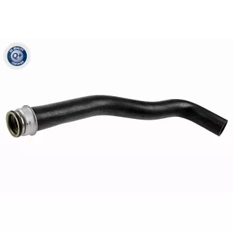 Durite de radiateur VAICO V22-0642