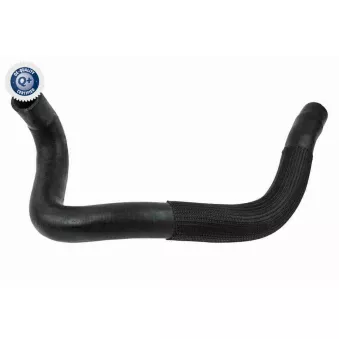 Durite de radiateur VAICO V22-0731