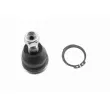 Rotule de suspension VAICO V22-1007 - Visuel 1