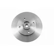 Jeu de 2 disques de frein arrière VAICO V22-40016 - Visuel 1