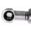 Vérin, capot-moteur VAICO V24-0197 - Visuel 3