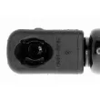 Vérin, capot-moteur VAICO V24-0303 - Visuel 2