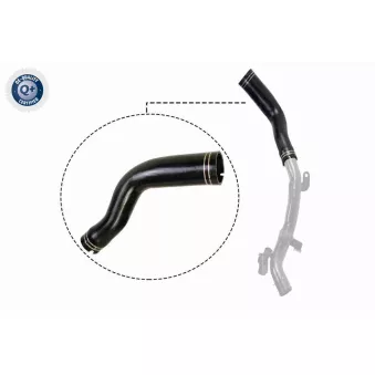 Gaine de suralimentation VAICO V24-0694