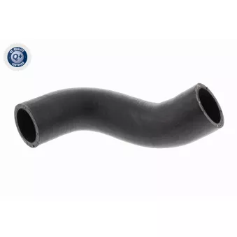 Gaine de suralimentation VAICO V24-0695