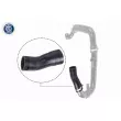 Gaine de suralimentation VAICO V24-0697 - Visuel 1
