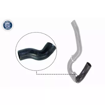 Gaine de suralimentation VAICO V24-0711