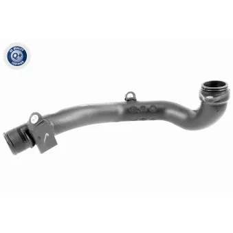 Gaine de suralimentation VAICO V24-0713
