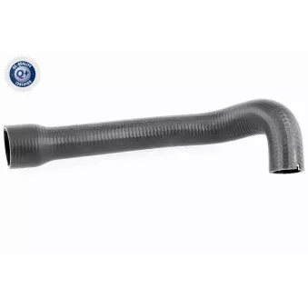 Gaine de suralimentation VAICO V24-0719