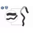 Gaine de suralimentation VAICO V24-0731 - Visuel 1