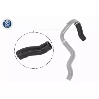 Gaine de suralimentation VAICO V24-0732