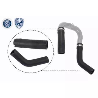 Gaine de suralimentation VAICO V24-0734