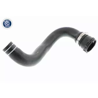 Durite de radiateur VAICO V24-0822