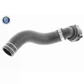 Durite de radiateur VAICO V24-0833