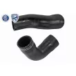 Gaine de suralimentation VAICO V24-0986 - Visuel 1