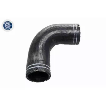 Tuyau, ventilation de carter-moteur VAICO V24-1063