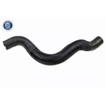 Durite de radiateur VAICO V24-1164