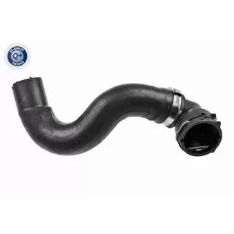 Durite de radiateur VAICO V24-1168