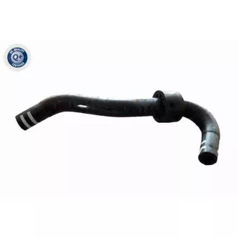 Durite de radiateur VAICO V24-1267