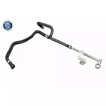 Durite de radiateur VAICO V24-1281