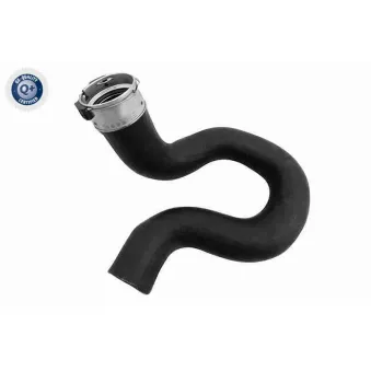 Gaine de suralimentation VAICO V24-1289