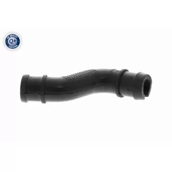 Tuyau, ventilation de carter-moteur VAICO V24-1293