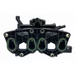 Module de tube d'admission VAICO V24-1392 - Visuel 3
