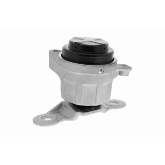 Support moteur VAICO V25-0631