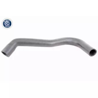 Gaine de suralimentation VAICO V25-0943