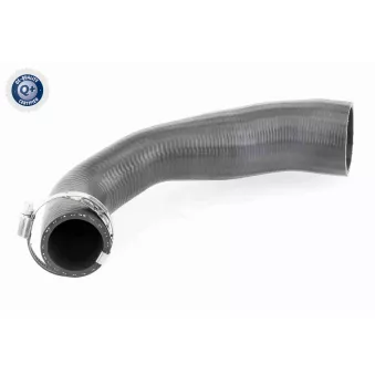 Gaine de suralimentation VAICO V25-0947
