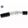 Gaine de suralimentation VAICO V25-0950 - Visuel 1