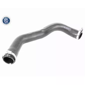 Gaine de suralimentation VAICO V25-1022