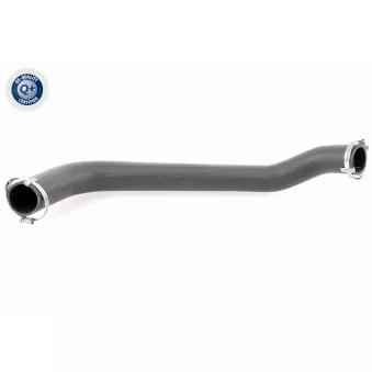 Gaine de suralimentation VAICO V25-1025