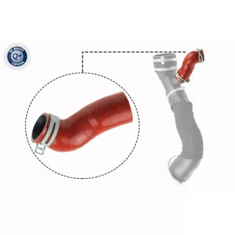 Gaine de suralimentation VAICO V25-1032