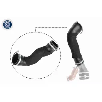 Gaine de suralimentation VAICO V25-1033