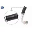 Gaine de suralimentation VAICO V25-1036 - Visuel 1