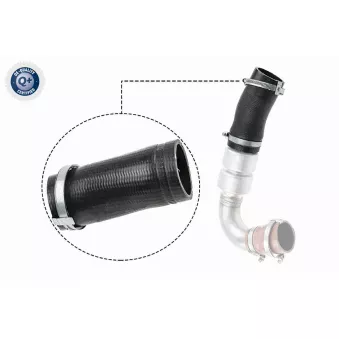 Gaine de suralimentation VAICO V25-1036